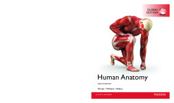 Human Anatomy, Global Edition Human Anatomy, Global Edition