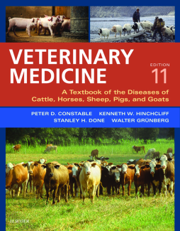 Veterinary Medicine - E-BOOK
