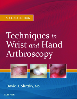 Techniques in Wrist and Hand Arthroscopy E-Book