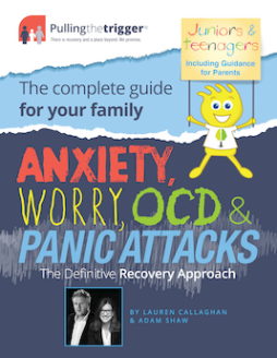 Anxiety, Worry, OCD and Panic Attacks - The Definitive Recovery Approach