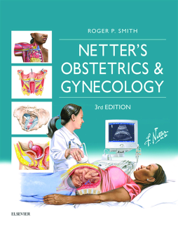 Netter's Obstetrics and Gynecology E-Book Netter's Obstetrics and Gynecology E-Book