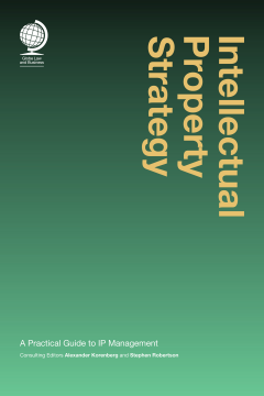 Intellectual Property Strategy Intellectual Property Strategy