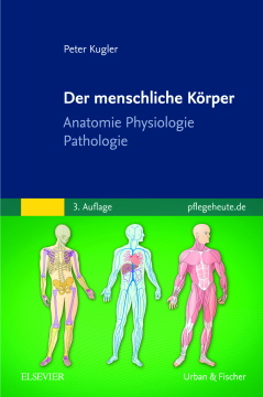 Der menschliche Körper Der menschliche Körper