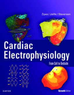 Cardiac Electrophysiology: From Cell to Bedside E-Book