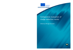Comparative Evaluation of Sludge Reduction Routes Comparative Evaluation of Sludge Reduction Routes