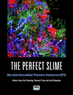 The Perfect Slime