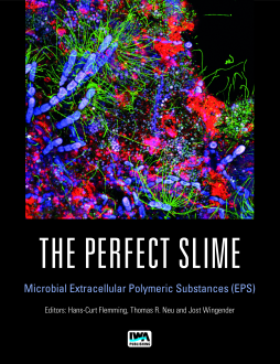 The Perfect Slime The Perfect Slime