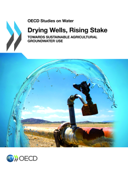 Drying Wells, Rising Stakes  Towards Sustainable Agricultural Groundwater Use