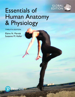 Essentials of Human Anatomy & Physiology, Global Edition Essentials of Human Anatomy & Physiology, Global Edition