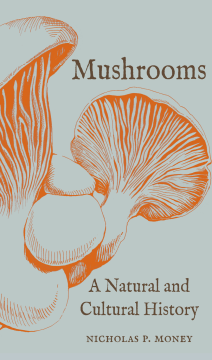 Mushrooms Mushrooms
