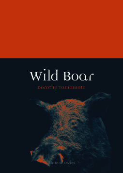 Wild Boar Wild Boar