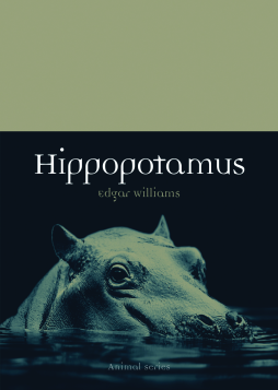 Hippopotamus Hippopotamus