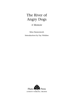 The River of Angry Dogs The River of Angry Dogs