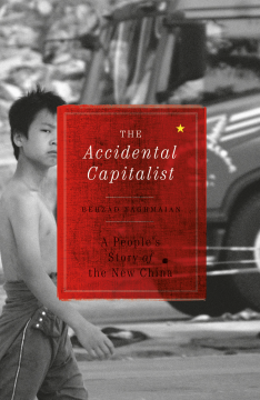 The Accidental Capitalist The Accidental Capitalist