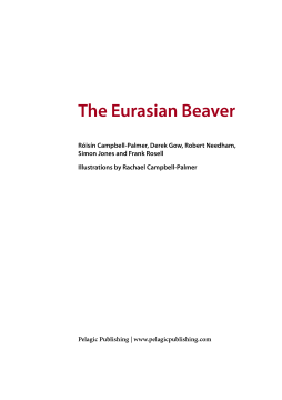 The Eurasian Beaver The Eurasian Beaver