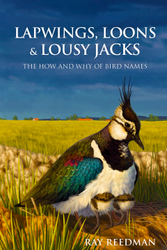 Lapwings, Loons and Lousy Jacks Lapwings, Loons and Lousy Jacks