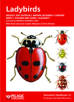 Ladybirds Ladybirds