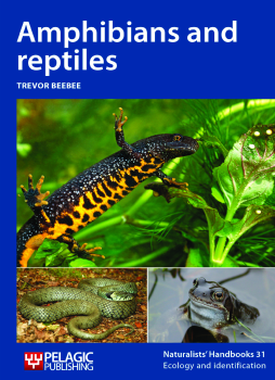 Amphibians and reptiles Amphibians and reptiles