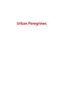 Urban Peregrines Urban Peregrines