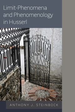 Limit-Phenomena and Phenomenology in Husserl Limit-Phenomena and Phenomenology in Husserl
