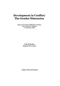 Development in Conflict