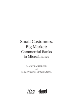 Small Customers, Big Market Small Customers, Big Market