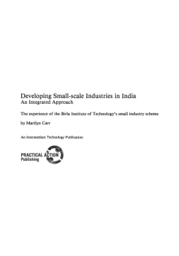 Developing Small-scale Industries in India Developing Small-scale Industries in India