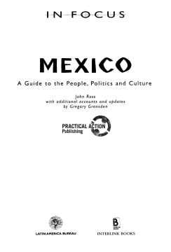 Mexico in Focus 2nd Edition Mexico in Focus 2nd Edition