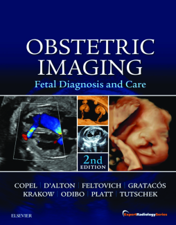 Obstetric Imaging: Fetal Diagnosis and Care E-Book Obstetric Imaging: Fetal Diagnosis and Care E-Book