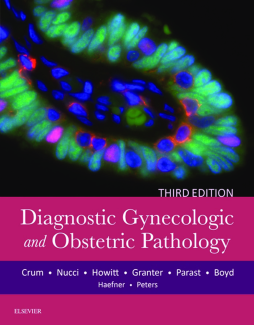 Diagnostic Gynecologic and Obstetric Pathology E-Book Diagnostic Gynecologic and Obstetric Pathology E-Book