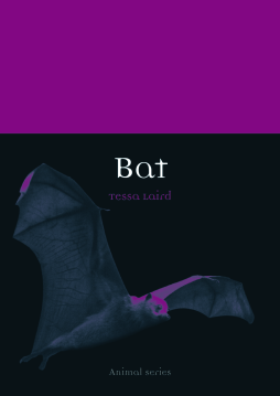 Bat Bat
