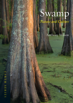 Swamp Swamp