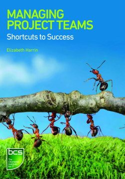 Managing Project Teams Managing Project Teams