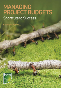 Managing Project Budgets Managing Project Budgets