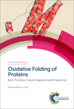 Oxidative Folding of Proteins