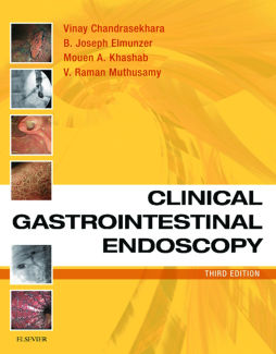 Clinical Gastrointestinal Endoscopy E-Book Clinical Gastrointestinal Endoscopy E-Book