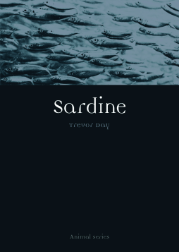 Sardine Sardine