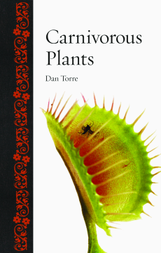 Carnivorous Plants Carnivorous Plants