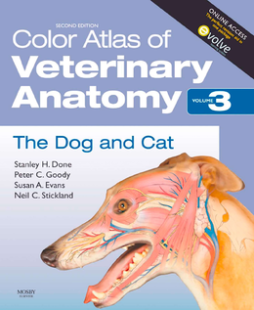 Color Atlas of Veterinary Anatomy, Volume 3, The Dog and Cat E-Book