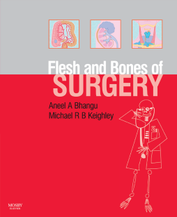 The Flesh and Bones of Surgery E-Book The Flesh and Bones of Surgery E-Book