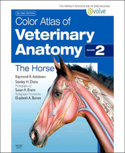Color Atlas of Veterinary Anatomy, Volume 2, The Horse - E-BOOK Color Atlas of Veterinary Anatomy, Volume 2, The Horse - E-BOOK