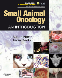 Small Animal Oncology E-Book Small Animal Oncology E-Book
