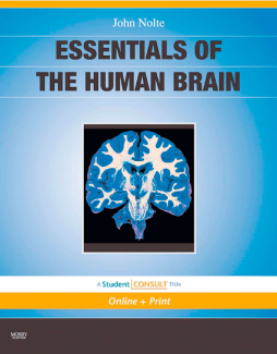 Essentials of the Human Brain E-Book Essentials of the Human Brain E-Book