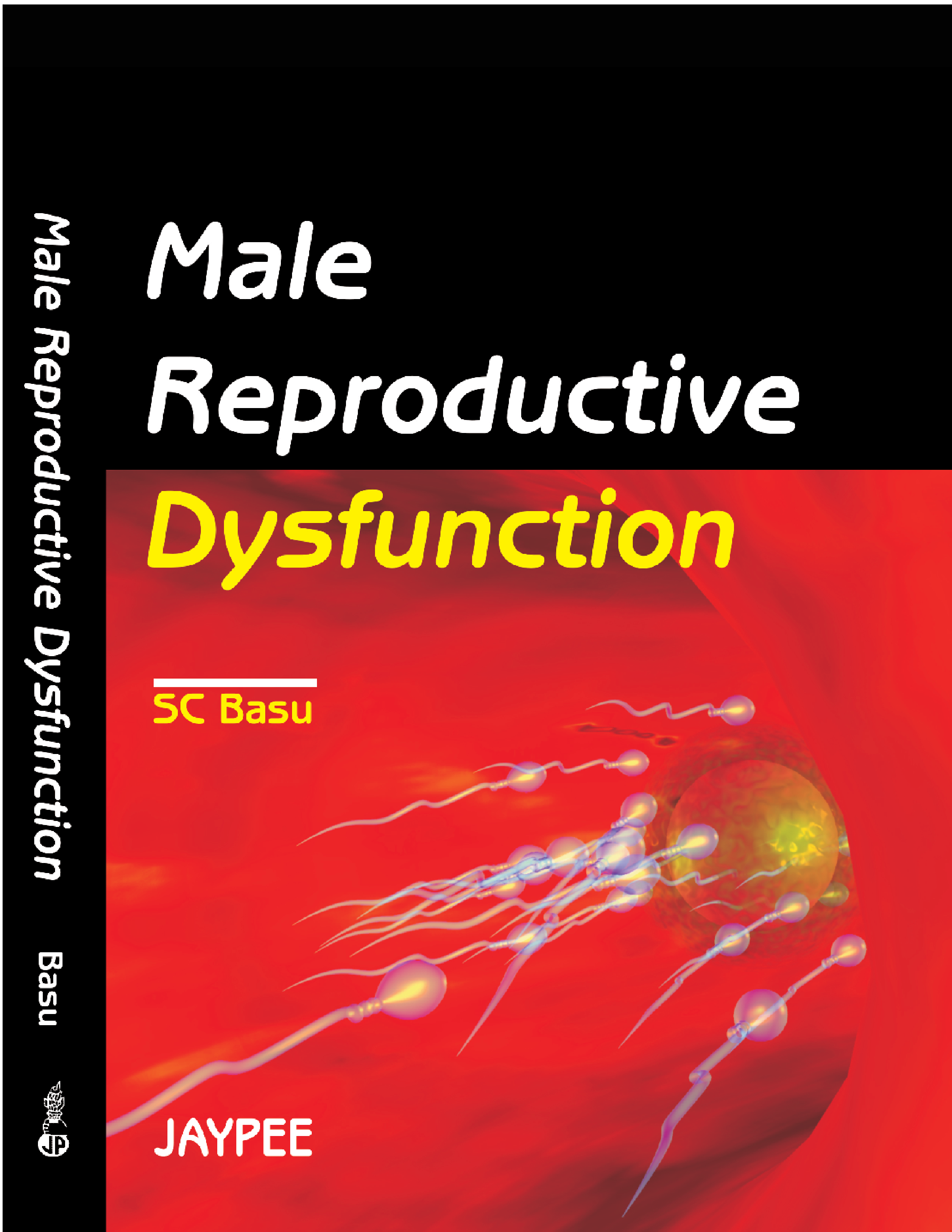 Male Reproductive Dysfunction