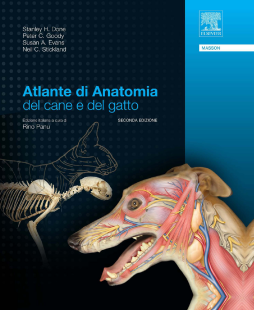 Atlante di anatomia del cane e del gatto Atlante di anatomia del cane e del gatto