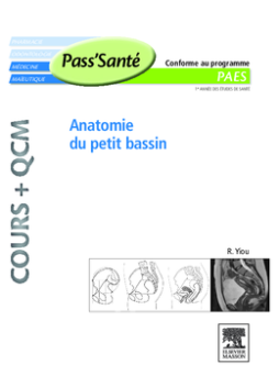 Anatomie du petit bassin (Cours + QCM)