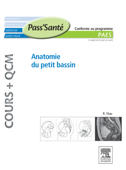 Anatomie du petit bassin (Cours + QCM) Anatomie du petit bassin (Cours + QCM)