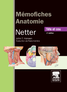 Mémofiches Anatomie Netter - Tête et cou
