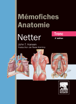 Mémofiches Anatomie Netter - Tronc Mémofiches Anatomie Netter - Tronc