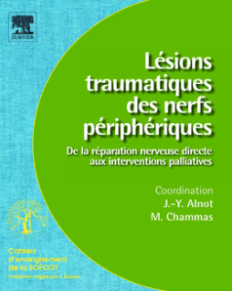 Lésions traumatiques des nerfs périphériques (n° 95)